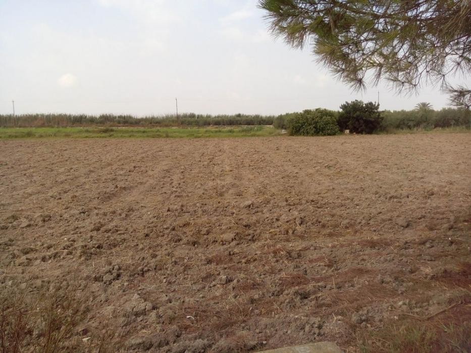 Parcela en venta en San Fulgencio