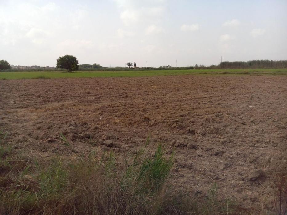 Parcela en venta en San Fulgencio