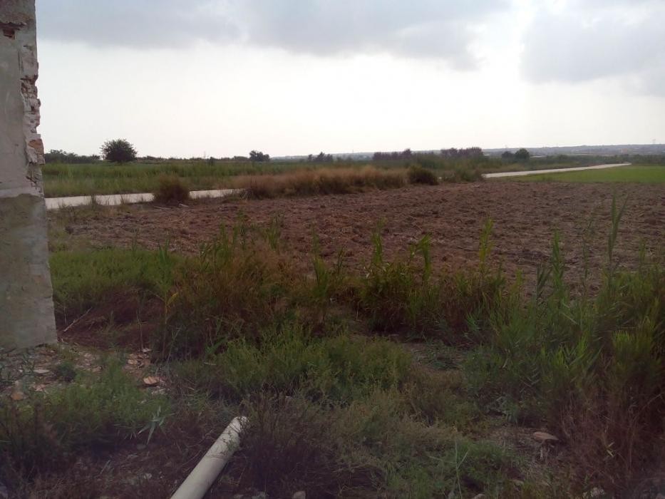 Parcela en venta en San Fulgencio