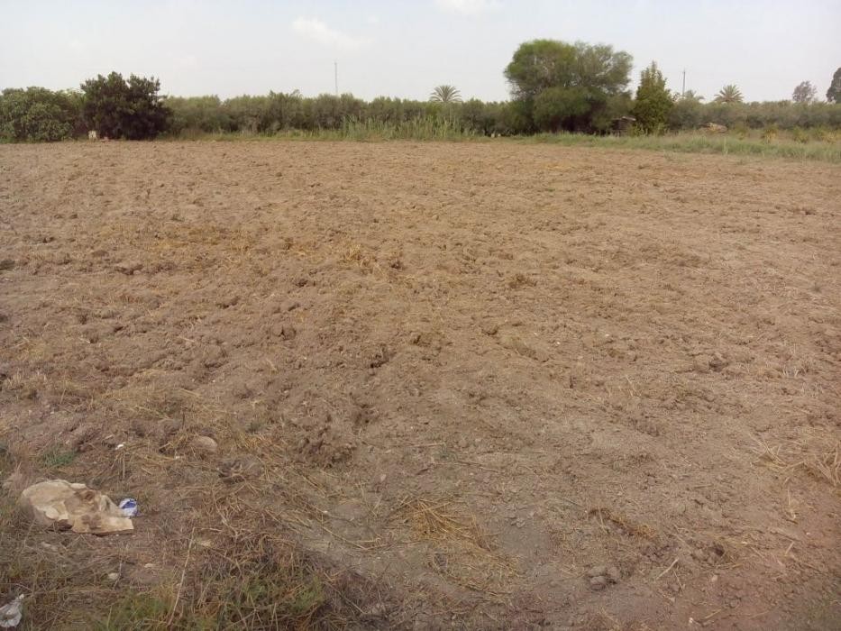 Parcela en venta en San Fulgencio